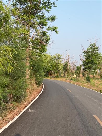 Elephant Ghost-Buckethead (with Gaby La La,Les Claypool,Brain &Bernie Worrell)