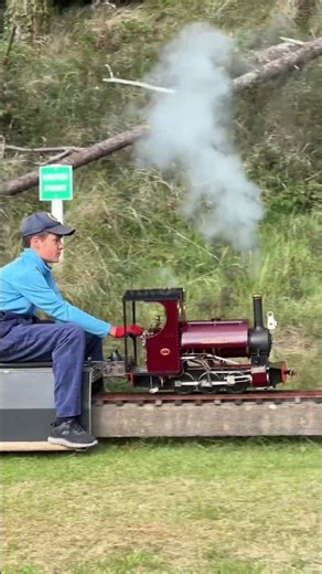 BEST MINIATURE STEAM TRAIN Saddle Tank! 🎬 #miniaturerailway