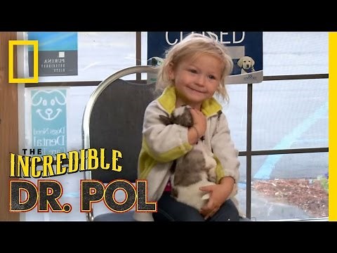 Season Trailer | The Incredible Dr. Pol