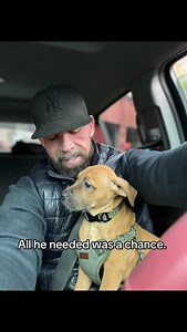 8.3K views · 18K reactions | Peanut is added to our Thanksgiving...