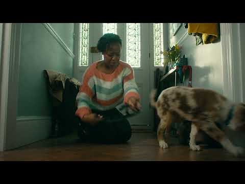 Pets at Home Puppy & Kitten club - TV advert - September 2021