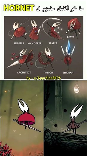 ما هو أفضل تصميم لمضاهر Hornet في Hollow Knight Silksong 🔥
