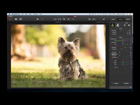 INTUOS PHOTO: Erika Thornes Shows How to Remove Distracting Elements in Snapheal
