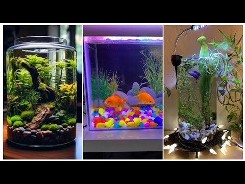 Dive into Creativity: Fish Tank Theme Ideas for All Ages "Aquatic Adventures: Fish Tank Themes"