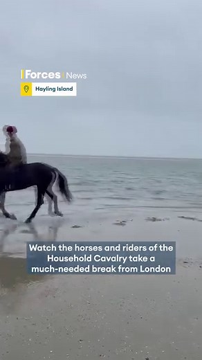 Check out the Household Cavalry’s horses and riders taking a much-needed break from London 🐎 The mounted troops used the calm of Hayling Island beach to train ahead of a busy summer of ceremonial duties 👑 📺 Watch here ⬆️ #Army #troops #soldiers #Britishmilitary #Britisharmy #HouseholdCavalry #cavalry #London #UnitedKingdom #UK #HaylingIsland #island #horses #horse #horseriding #riding #training #exercises #drills #forcesnews #news #journalism | Forces News
