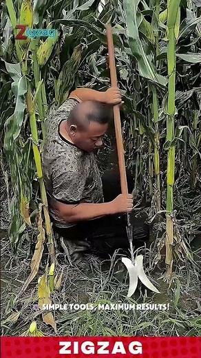 Genius Farming Tools for Removing and Cutting Stalks in Crop Fields