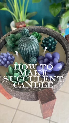 4.3K views · 103 reactions | Succulent Candle - Scented Candle - DIY Candle #candlemaking #scentedcandles #candles #candlelover #giftidea | Ibarra Imports | Facebook