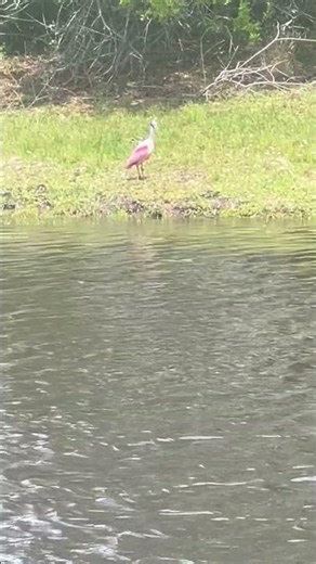 Nature at its finest ￼it’s a beautiful day today