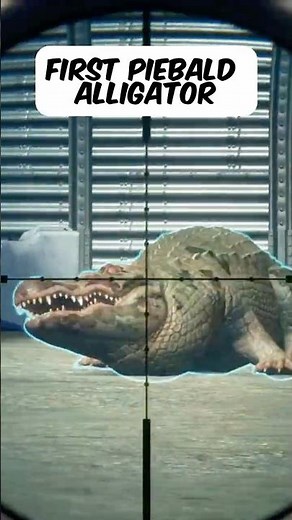 This Gator Looked… WRONG 😳 #cotw #thehunter