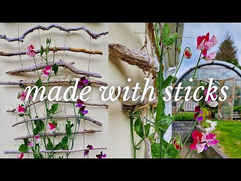 Make a DIY Plant Trellis (cheap garden project)