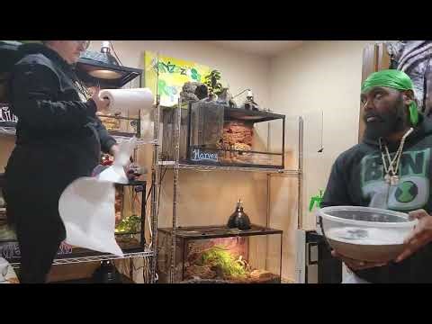 Care Guide Tank Cleaning 🧼