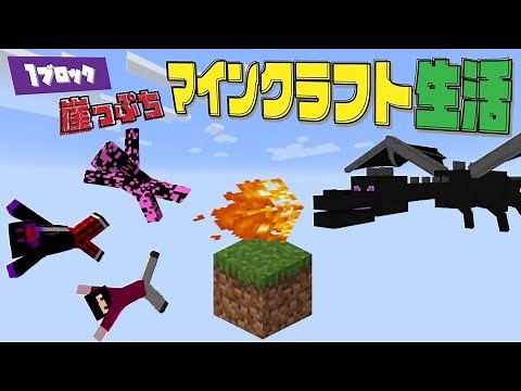 【協力実況】1ブロック崖っぷちマインクラフト生活 #4【Minecraft】
