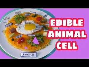 Presentation: EDIBLE ANIMAL CELL