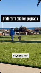 Underarm challenge prank  #prank #dog #dogs #funny #challenge #fyp | Dog Friendly Co. | Facebook