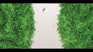 Everybody loves a classic 💚💛 Enjoy the classic goodness of C2 - made better with fiber 🌾 Stock up on your favorite refreshing C2 Green Tea Apple 🍏 and Lemon 🍋 drinks when you head to Robinsons Supermarket 🍃 | Robinsons Las Piñas