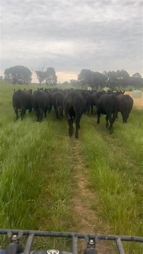 Emma McDonald on Reels