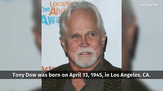 10K views · 152 reactions | “Leave It to Beaver” star Tony Dow died Wednesday, his son Christopher confirmed on Facebook Wednesday afternoon. More about his life HERE >>> wpxi.tv/3BnGYwI | WPXI-TV Pittsburgh | Facebook