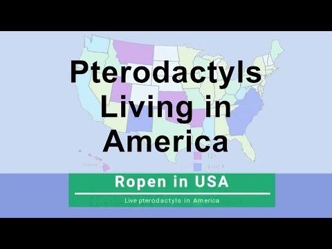 Ropens in USA - Pterodactyls Living in America