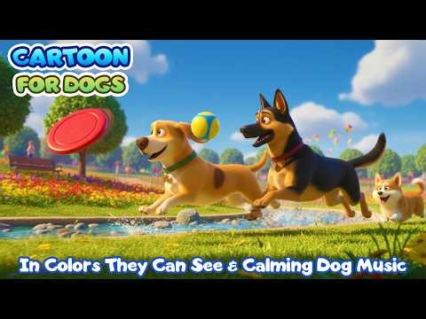 24 Hours Cartoons for Dogs to Watch 🐕🎨 in Colors Dogs Can See | Dog Entertainment Video When Alone