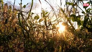 ATM Chiptuning宝马M2 Competition 芯片调谐专业的事交给专业的人