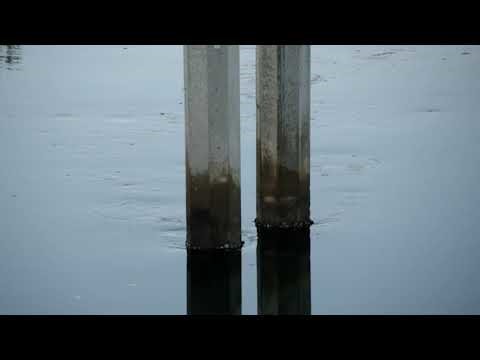 Vortex shedding in the wake of bridge pier