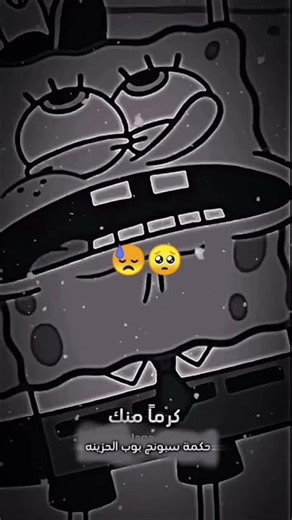 ٣٠ ديسمبر ٢٠٢٥