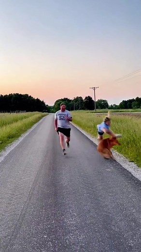 1.6K views · 16 reactions | Dogs attack Everyone 樂  . . . . . . . . . #funnyvideos #prankvideo #prank #memesdaily #viralreels #memes #funnyreels #viralvideochallenge #viralchallenge | Curious Bloom | Facebook