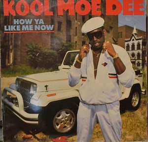 Kool Moe Dee - How Ya Like Me Now