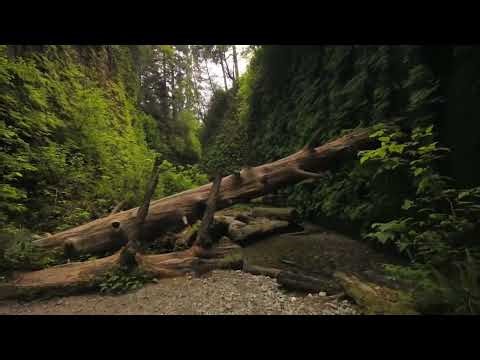 God Has a Message For You Today – Don’t Ignore This Sign 🙏 #god #usa 