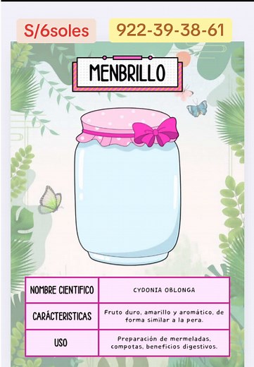 Herbario: Descubre Plantas Medicinales en Perú