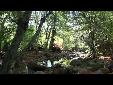 How to Convert WEBM Files into MP3