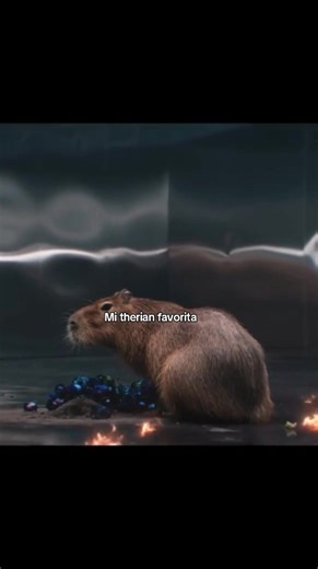 El mejor capybara JAJAJA #Jennie #kpop #humor #therian #paratii @Sayuu