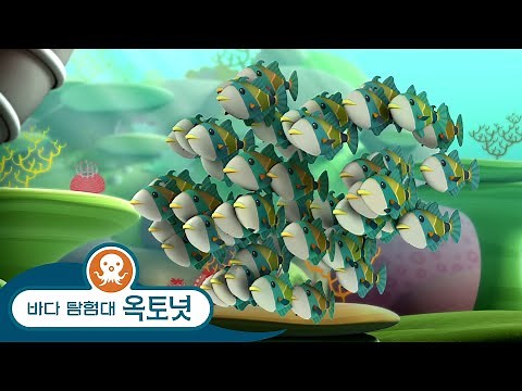 바다 탐험대 옥토넛 - 후무후무누쿠누쿠아푸아아 - 모음집