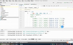 pyechart flask可视化大屏复现和逐行讲解