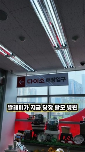 다이소 닥터리움 탈모 앰플 사용 후기 및 구매 팁