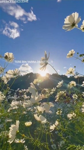 Feel This Song 🎧❤️‍🩹 | Deep Lyrics Status 🥀✨ #shorts