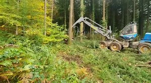 225K views · 1K reactions | RK 250 Power  | Harvester Forwarder & More | Facebook