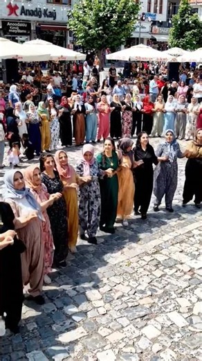 Halay Oynayan Kadınların Renkli ve Coşkulu Anları #halay #kurdish #kurtce #düğün #gelin #halaybasi