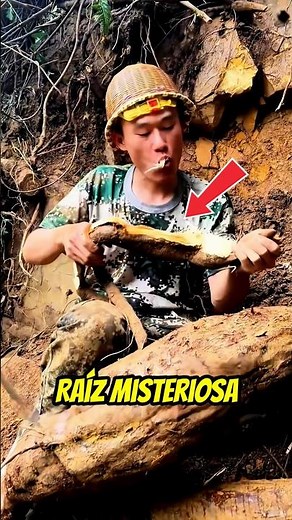 "This grows in the mountains... and the Chinese eat it 🌿"