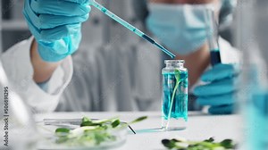 Young woman laboratory assistant examines sprouts drips reagent into test tube. Root research Science, biology, ecology, research. Scientist in protective mask holding blue chemical pipette in biolab