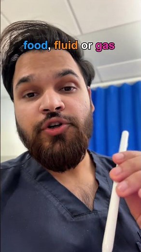 Why Does Your Stomach Make Weird Noises?