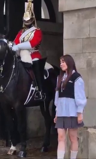 なんか色々言われてるけど他の人達と同様に写真撮ってたらいきなり「プリーズバック」って言われて最初聞き取れず、何度か目で理解して少しだけ後ろに下がってOKだと思ったら衛兵が移動するタイミングで、そこまで理解出来ず怒鳴られたっていう感じで、晒すほどの迷惑行為かなとは思う