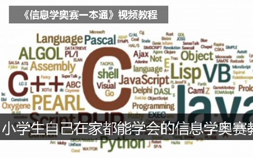 手把手带你看懂《信息学奥赛一本通》视频教程—小学生自己在家都能学会的信息学教程