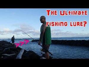 Fishing gear of a Kauai, Hawaii islander | Our life in paradise | Kapaa | Island life vlog