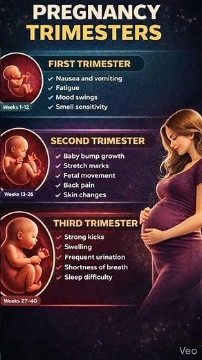 Pregnancy Symptoms Trimester Wise | Pregnancy Trimester Guide