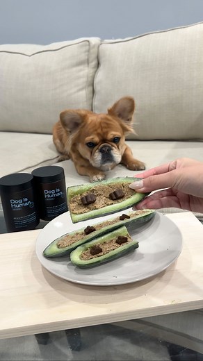 Dog Is Human on Instagram: "Did you know enrichment provides tons of benefits for your dog!?! 🥒💙 Try out this cucumber treat for your pup! #dog #dogislove #dogishuman #dogsofinstagram #doglover #doginstagram #dogs #dogstagram #dogslife #dogsofinsta #dogmodel #dogmom #dogmomlife #dogmoments #doghealth #doghealthtips #dogenrichment #canine #canineenrichment #doglovers #doglife #doglove #dogloversclub #doglifestyle #dogloversofinstagram"