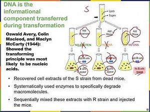Biology2E Ch14 MChen Lecture Video Part1