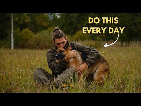 10 Scientific Ways To Make Your German Shepherd Very Happy