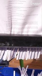 Recycling Paper for Heat: An Eco-Friendly Alternative | DeMilked