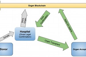 OrganChain